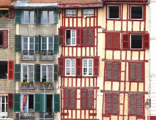 Schimmelbefall Hinweispflicht